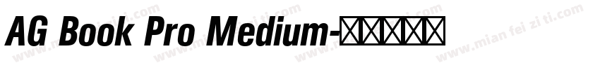 AG Book Pro Medium字体转换
